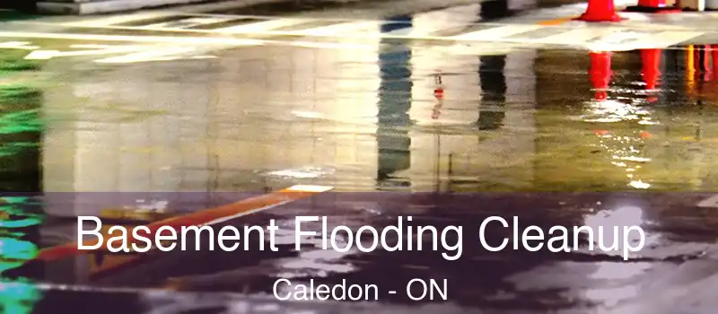 Basement Flooding Cleanup Caledon - ON