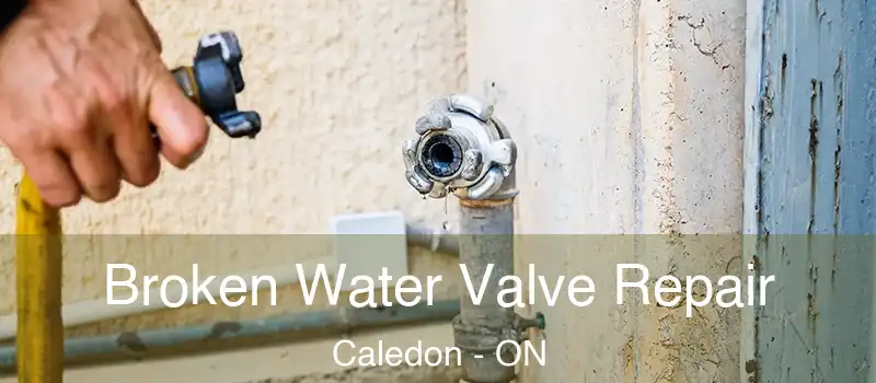Broken Water Valve Repair Caledon - ON