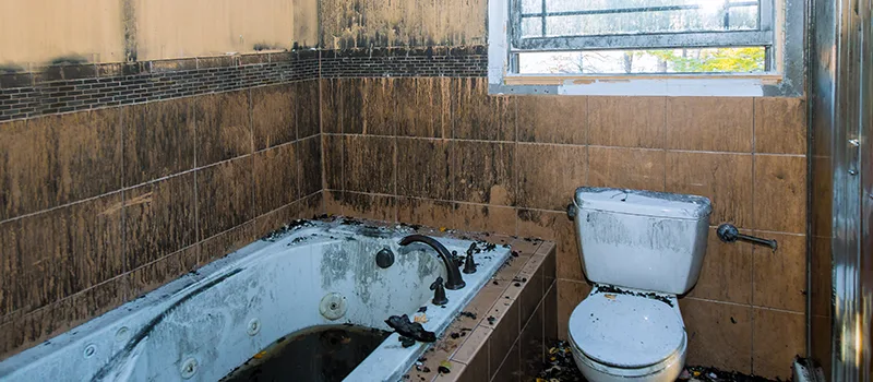 Residential Water Damage Restoration in Caledon, ON