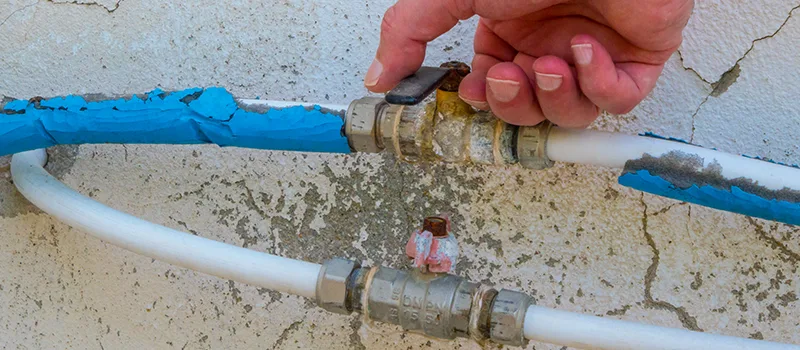 Ceiling Water Damage Repair in Caledon, Ontario