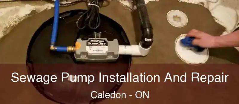 Sewage Pump Installation And Repair Caledon - ON