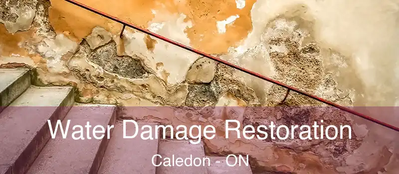 Water Damage Restoration Caledon - ON